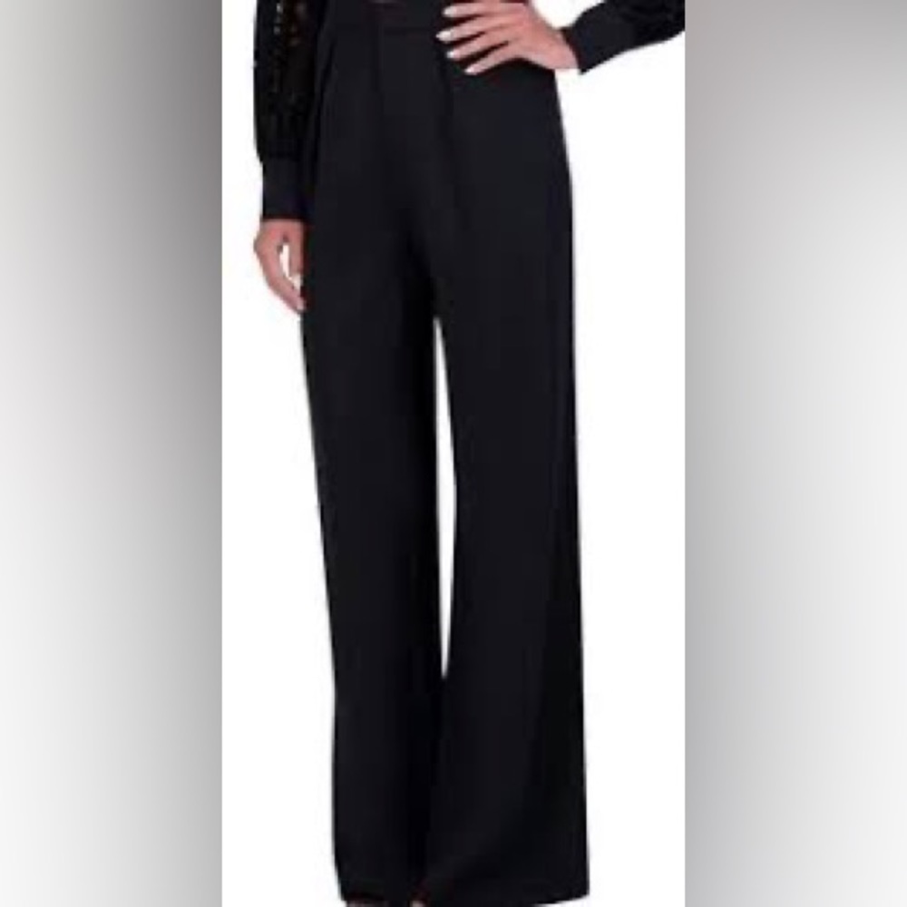 BCBGMaxAzria Whitnie Trousers/Wide Leg Dress Pants NWT!